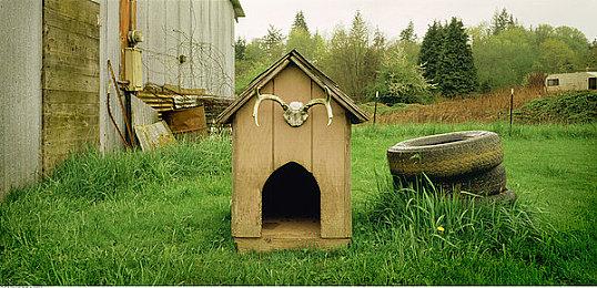 皮克斯新作《Elio》前瞻预告 明年3月1日北美上映